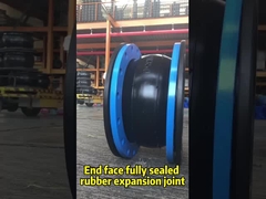 Serie di giunti di espansione di ponte durevole con connessioni a doppia estremità