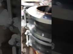 Articolo di espansione in gomma in acciaio inossidabile